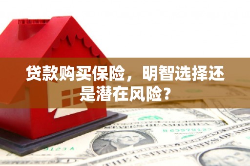 草屯贷款购买保险，明智选择还是潜在风险？