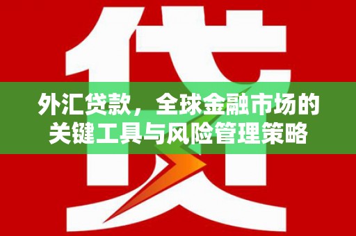 草屯外汇贷款，全球金融市场的关键工具与风险管理策略