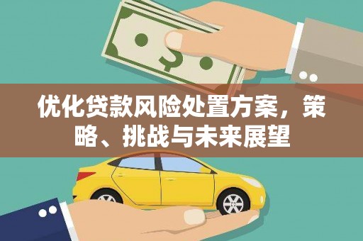 草屯优化贷款风险处置方案，策略、挑战与未来展望