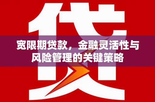 草屯宽限期贷款，金融灵活性与风险管理的关键策略
