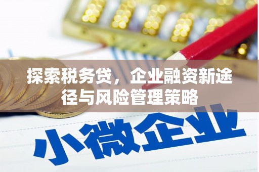 草屯探索税务贷，企业融资新途径与风险管理策略