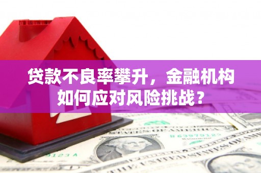 草屯贷款不良率攀升，金融机构如何应对风险挑战？