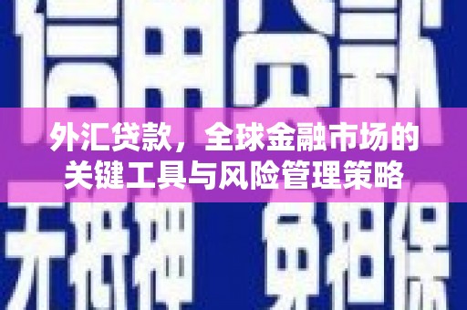 草屯外汇贷款，全球金融市场的关键工具与风险管理策略