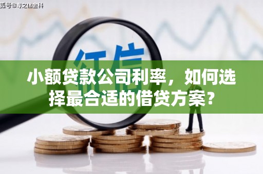 草屯小额贷款公司利率，如何选择最合适的借贷方案？