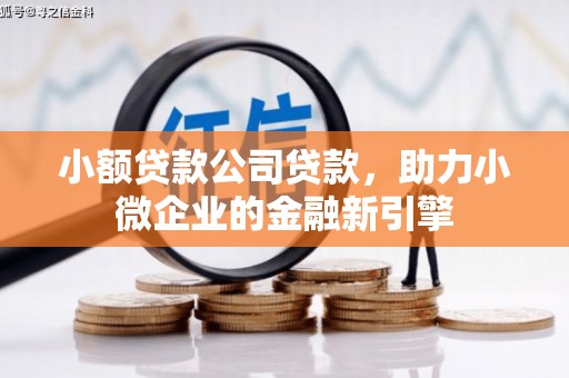 草屯小额贷款公司贷款，助力小微企业的金融新引擎