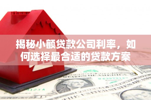 草屯揭秘小额贷款公司利率，如何选择最合适的贷款方案