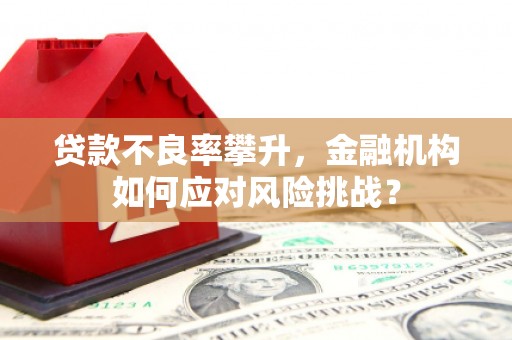 草屯贷款不良率攀升，金融机构如何应对风险挑战？