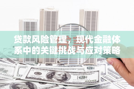 草屯贷款风险管理，现代金融体系中的关键挑战与应对策略