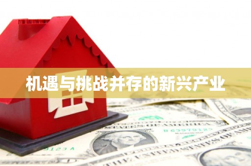 草屯机遇与挑战并存的新兴产业