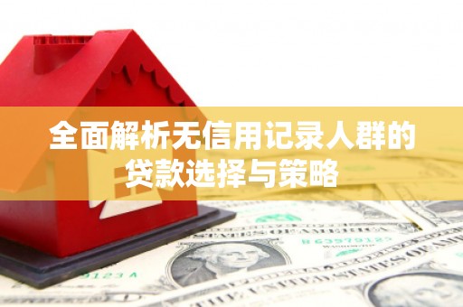 草屯全面解析无信用记录人群的贷款选择与策略
