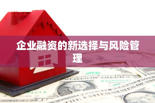 草屯企业融资的新选择与风险管理