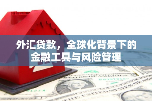 草屯外汇贷款，全球化背景下的金融工具与风险管理